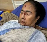 Mamata Banerjee released from hospital after condition turns 'stable'