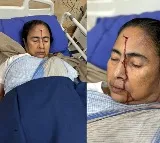 Mamata Banerjee fell probably because of a 'push' from behind, says SSKM Director
