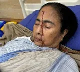 CM’s injury a result of syncope, explains prominent doctor and Trinamool minister Panja