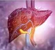 Mice study unravels new insights to boost treatment of liver fibrosis