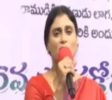Relatives killed YS Vivekananda Reddy says Sharmila