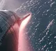 Starship rocket will be on Mars in next 5 years: Elon Musk