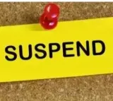 AP employee who violated election code is suspended