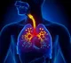 COPD, asthma to drive India’s critical care ventilator market: Report