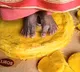 Papad Making Process Sparks Hygiene Debate On The Internet