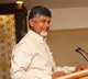 TDP will win more than 160 seats says Chandrababu