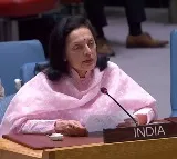 'Can't be my way or highway': India slams UFC model on UNSC reforms