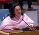 'Can't be my way or highway': India slams UFC model on UNSC reforms