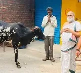 Chilkur Priest gifts bull to Muslim farmer