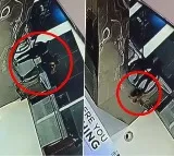 Boy Slips From Fathers Arms Falls To Death In Raipur Mall