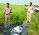 Double Murder In Kakinada Rural village