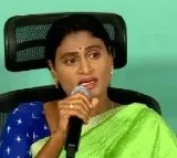 Sharmila Vows to Contest Elections from Kadapa if Party Decides