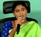 What is use of YS Avinash Reddy to Kadapa asks Sharmila