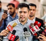 AAP MP Raghav Chadda reacts after ED arrested CM Kejriwal
