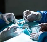 US Doctors transplant pig kidney into human in a first