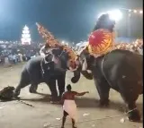 Several injured as elephant runs amok during Arattupuzha temple festival