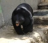 Two men dead in Bear attack one suffers serious injuries