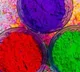 Telangana Government Announces Holiday for Holi, Good Friday