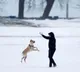 Humans spread more viruses to animals: Study