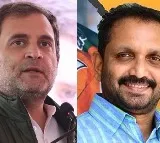 BJP Picks Kerala Chief Surendran To Take On Rahul Gandhi In Wayanad