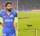 Gujarat fans started chanting Hardik Hardik when a dog entered the field