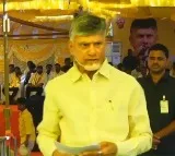 Youth turn to vices only when they have nothing to do: Chandrababu Naidu