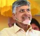 Chandrababu Assigns Key Positions to TDP Senior Leaders