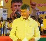 Chandrababu assures Mega DSC to youth