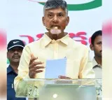 Chandrababu Naidu Critiques Nagari MLA During Election Campaign