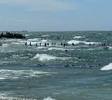 12 Gaza residents drown in attempt to reach airdropped aid by US