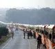 Bus Driver and Conductor Bite Off Passenger Ear and Finger Over Seating Arrangement Dispute