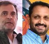 BJP Candidate Against Rahul Gandhi Has 242 Cases