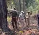 Rare water tree spotted in Popikondalu forest