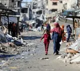 Palestinian death toll in Gaza rises to 32,705: Ministry