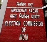 BJP approaches EC against Rahul Gandhi’s ‘match-fixing’ charge at PM Modi