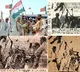 PM Modi’s 'connection' with Tamil Nadu not new, these pictures are proof