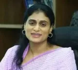 AP Congress MP candidates list Sharmil contesting from Kadapa