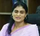 AP Congress MP candidates list Sharmil contesting from Kadapa