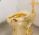 UK Man thefts Gold Toilet Worth Rs 50 Crores