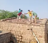 30 monkeys found dead in water tank in Telangana