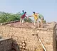 30 monkeys found dead in water tank in Telangana