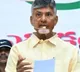 AP CID Files Chargesheet in Skill Development Case