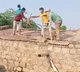 30 monkeys found dead in water tank in Telangana
