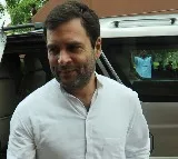 Rahul Gandhi 20 Crore Assets Land Shared With Priyanka