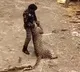 Wildlife Official Fights Off Leopard With Stick In Kashmir Village