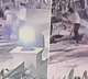 Police Inspector Son Beats Man to Death With Cricket Bat in Broad Daylight in Jaipur