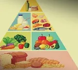Balanced diet makes immune system more resilient to infections like TB: Health Ministry