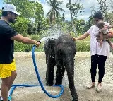 Upasana post went viral in social media