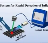 New nanosensor to check body’s inflammatory level, diagnose disease in 30 minutes