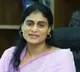 YS Sharmila on YSRCP